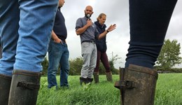 Ceredigion: Optimising pasture performance for profit and sustainability